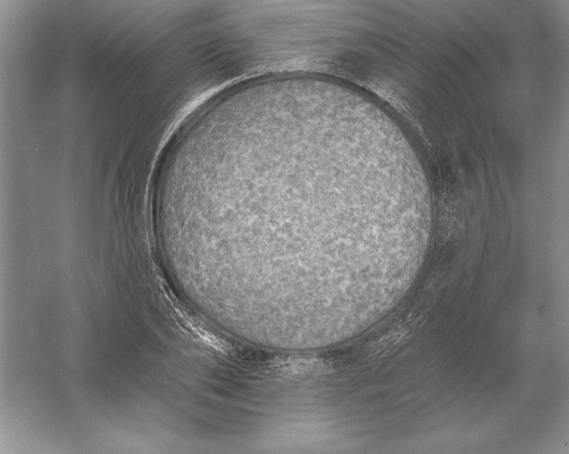 X0000055990886200509092016