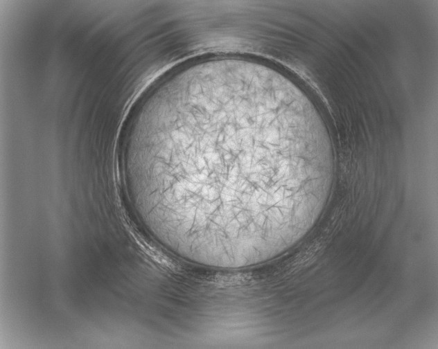 X0000055990887200509092016