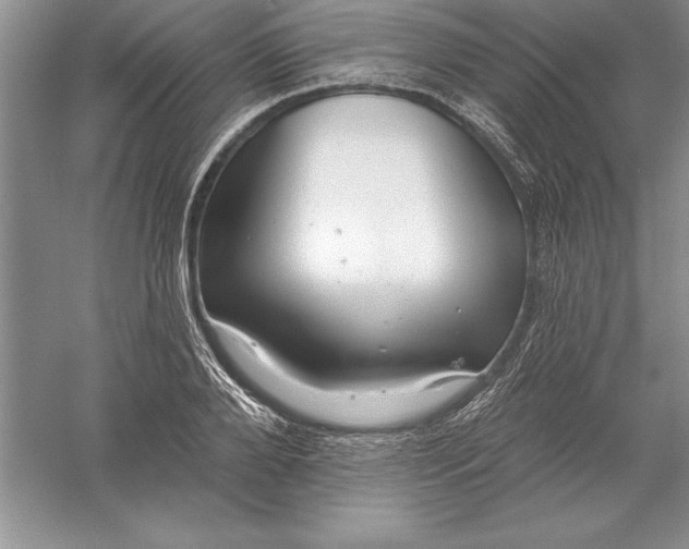 X0000055990888200509092016