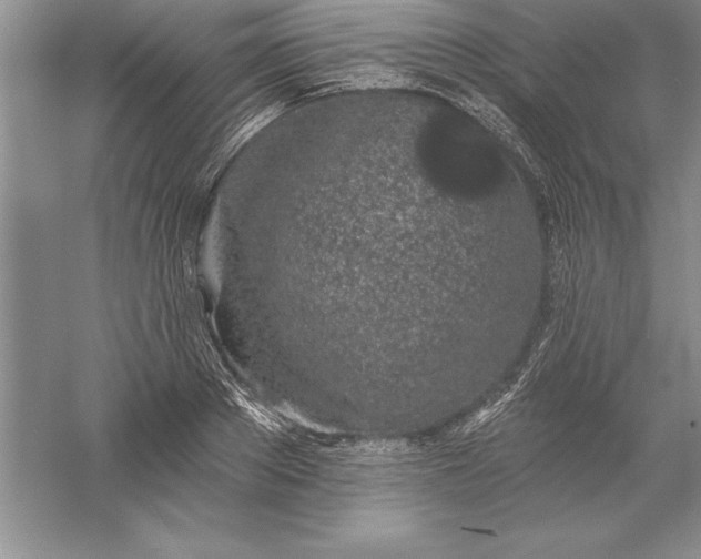 X0000055990889200509092016