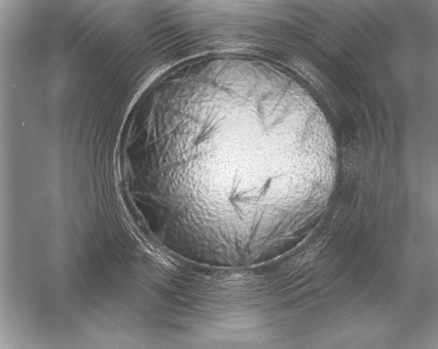 X0000055990891200509092016