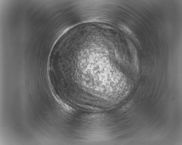 X0000055990892200509092016