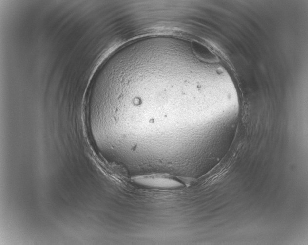 X0000055990899200509092016