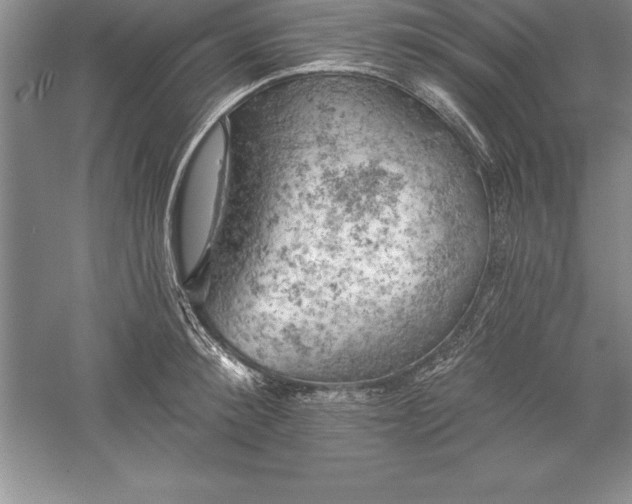 X0000055990900200509092016