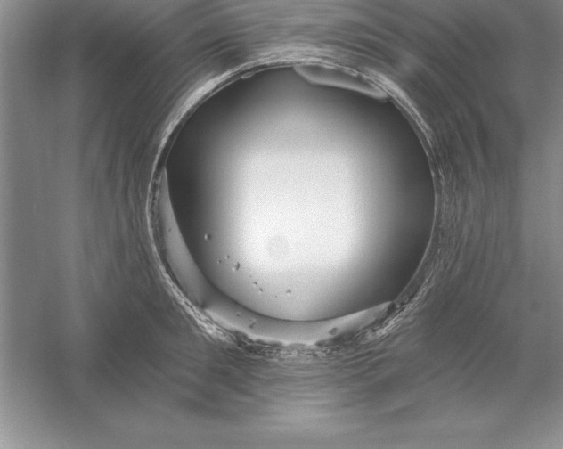 X0000055990901200509092016