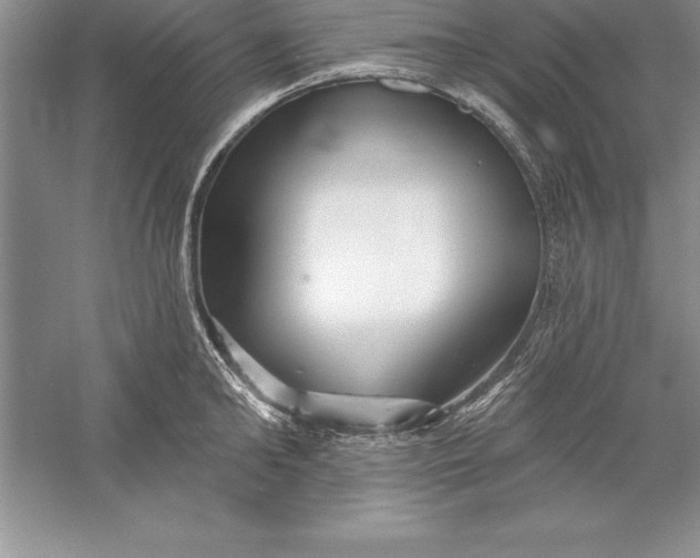 X0000055990902200509092016