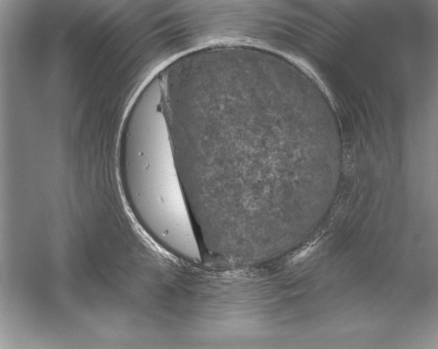 X0000055990903200509092016