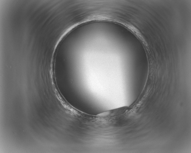 X0000055990904200509092016