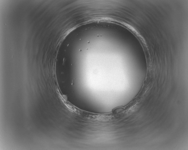 X0000055990905200509092016