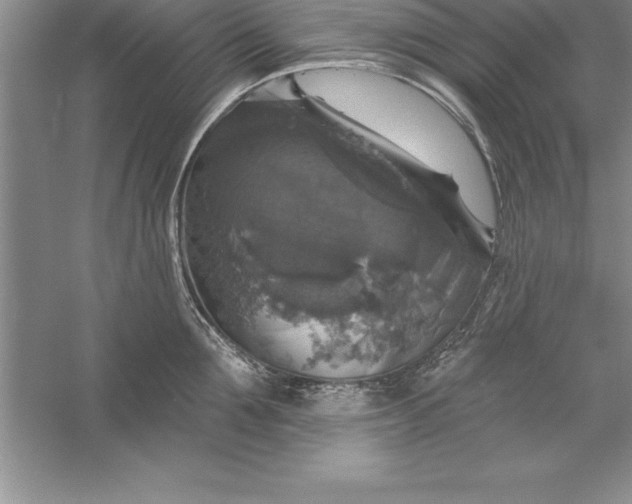 X0000055990907200509092016