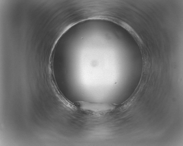 X0000055990908200509092016