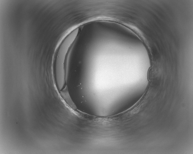 X0000055990910200509092016