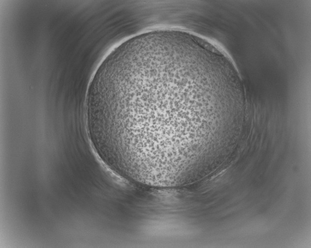 X0000055990911200509092016