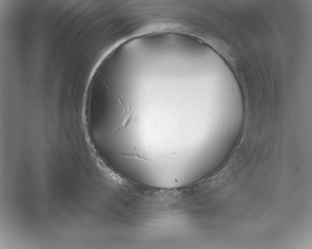 X0000055990912200509092016