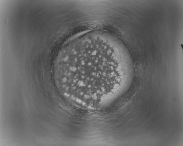 X0000055990913200509092015