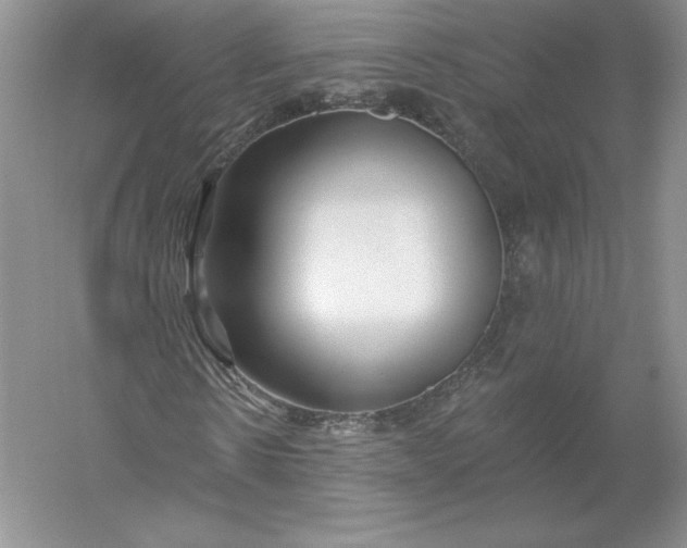 X0000055990914200509092015