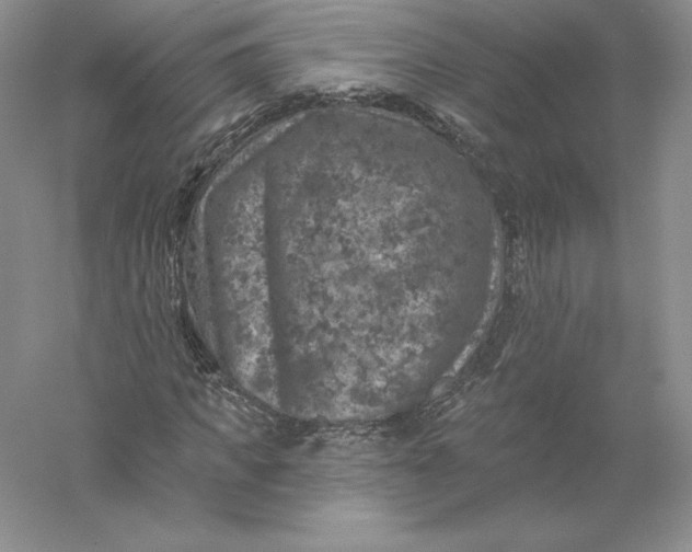 X0000055990917200509092015