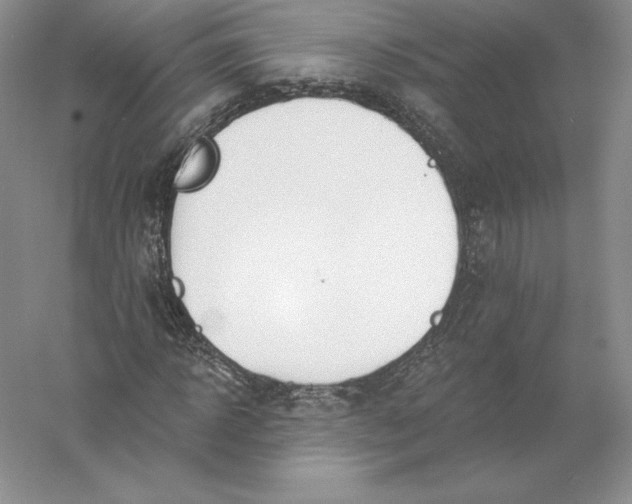 X0000055990918200509092015