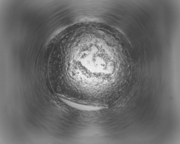 X0000055990919200509092015