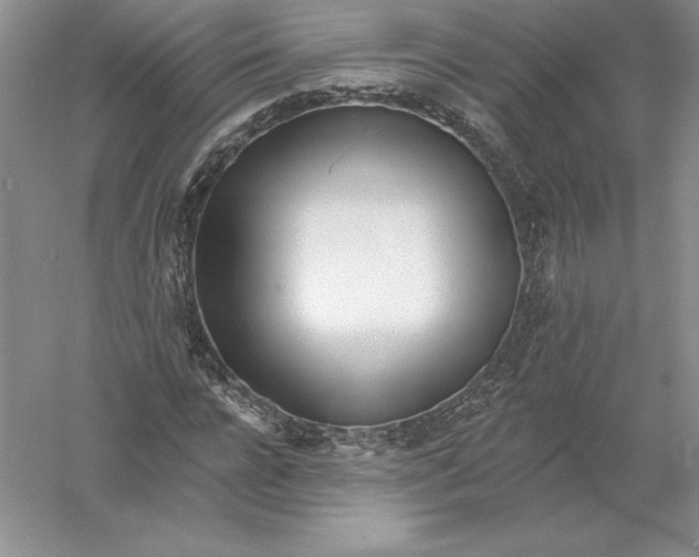 X0000055990920200509092015