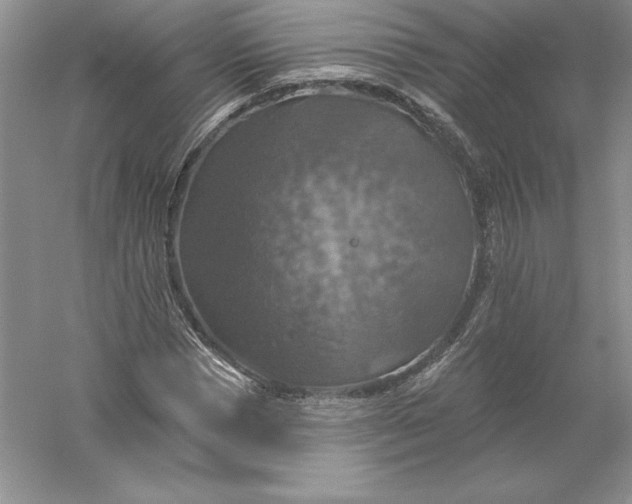 X0000055990921200509092015