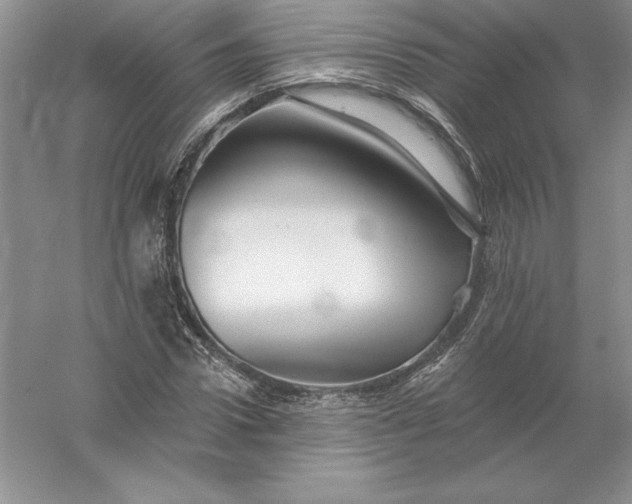 X0000055990922200509092015