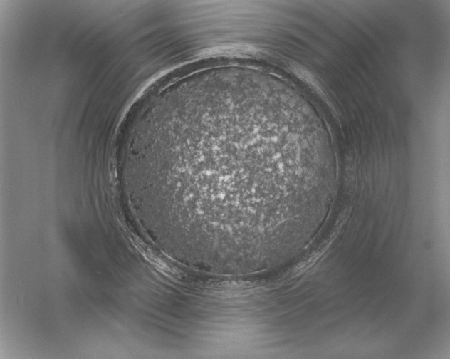 X0000055990923200509092015