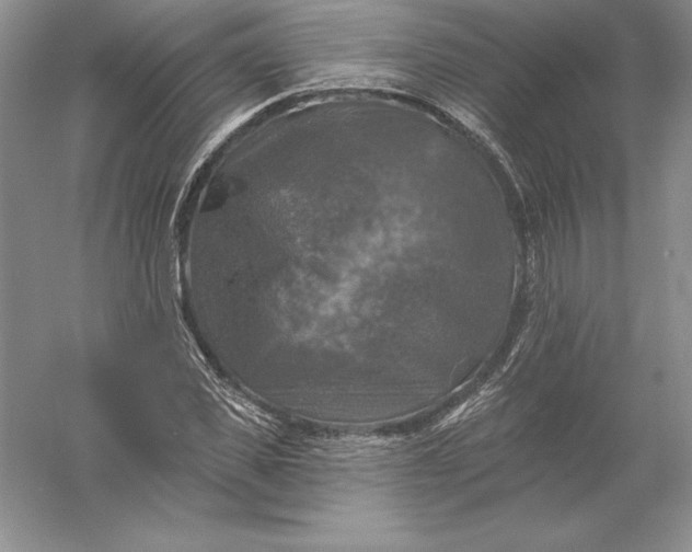 X0000055990925200509092015