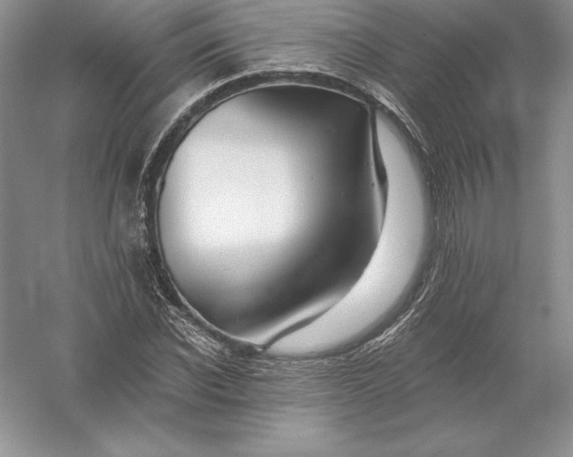 X0000055990926200509092015