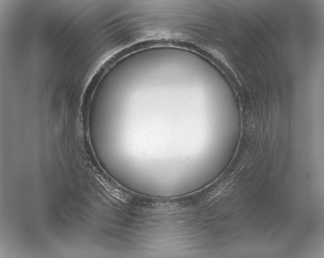 X0000055990927200509092015