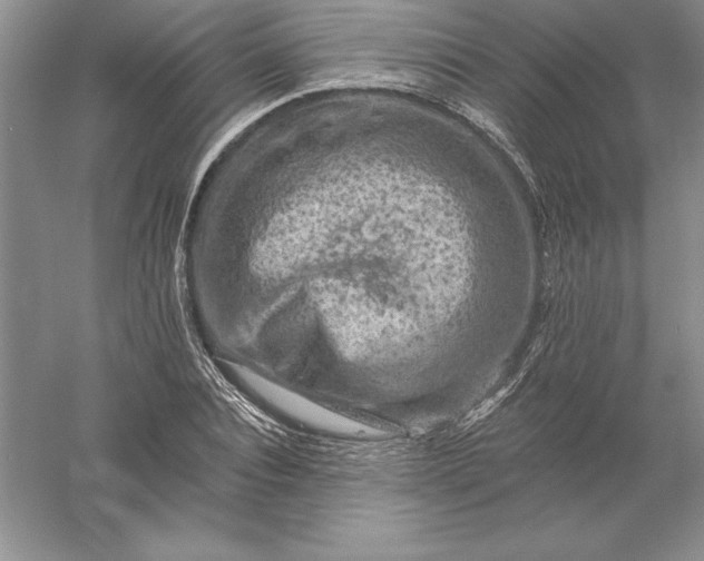 X0000055990928200509092015