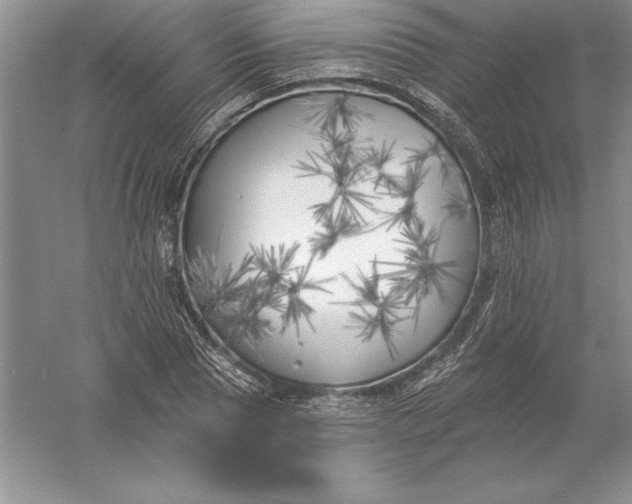 X0000055990929200509092015