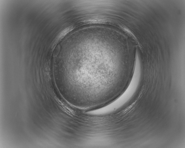 X0000055990930200509092015