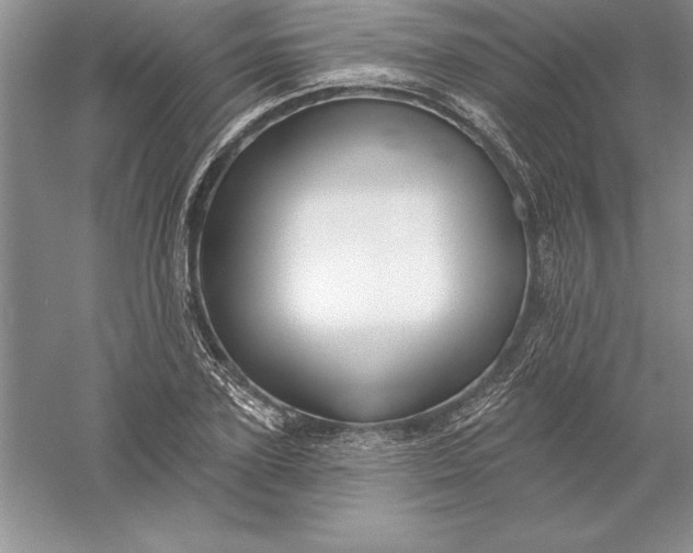 X0000055990931200509092015