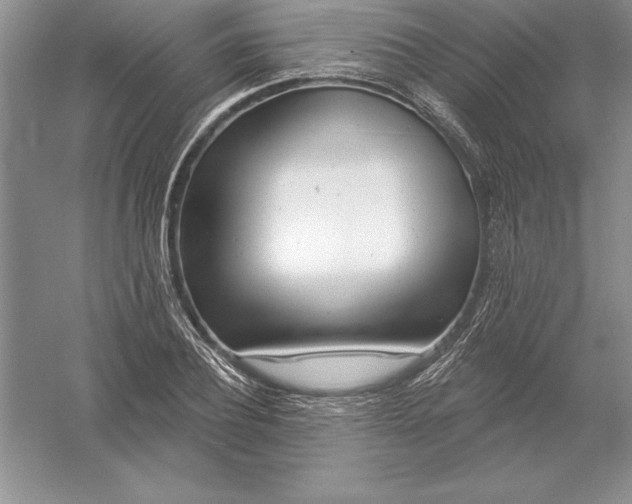 X0000055990932200509092015