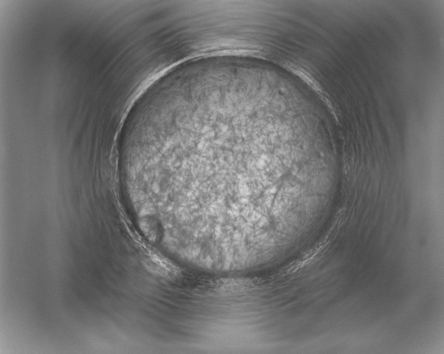 X0000055990933200509092015