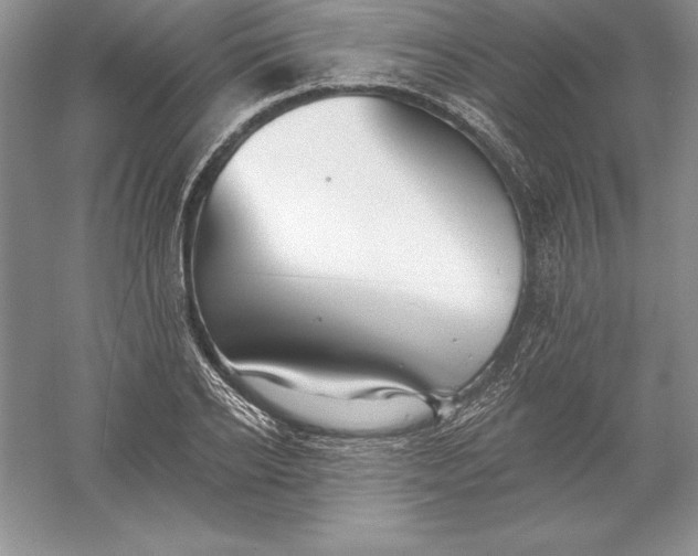 X0000055990934200509092015