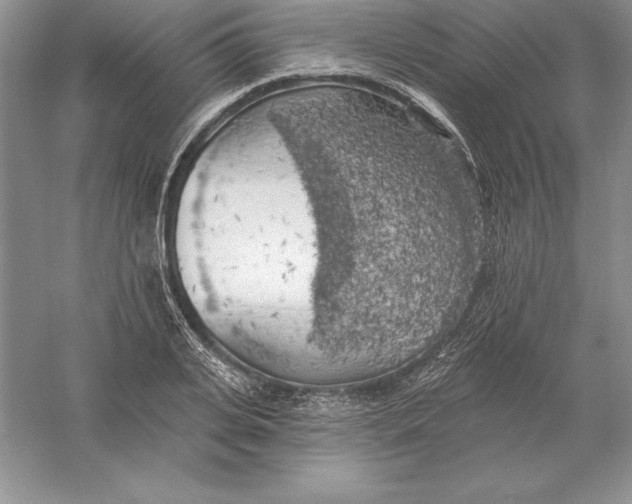 X0000055990935200509092016