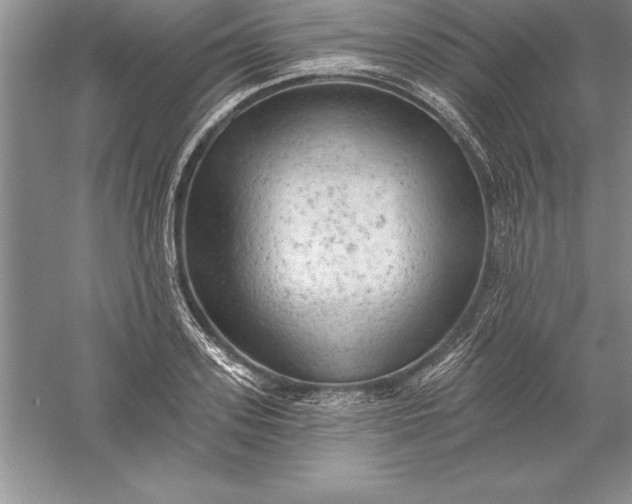 X0000055990939200509092016