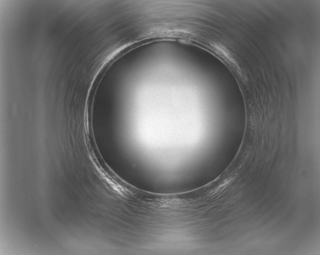 X0000055990940200509092016