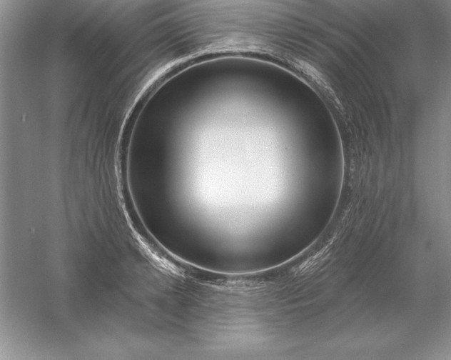 X0000055990942200509092016