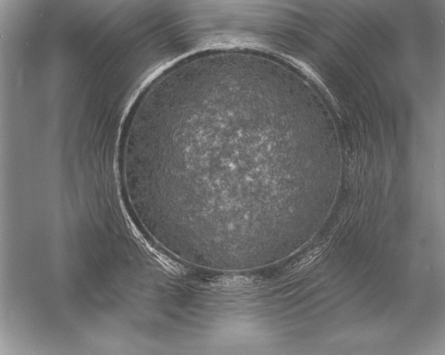 X0000055990943200509092016