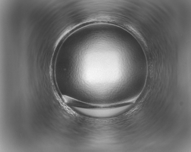 X0000055990944200509092016