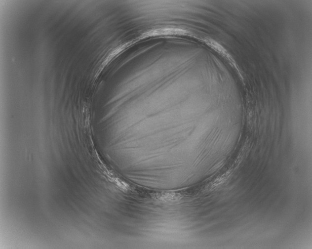 X0000055990945200509092016