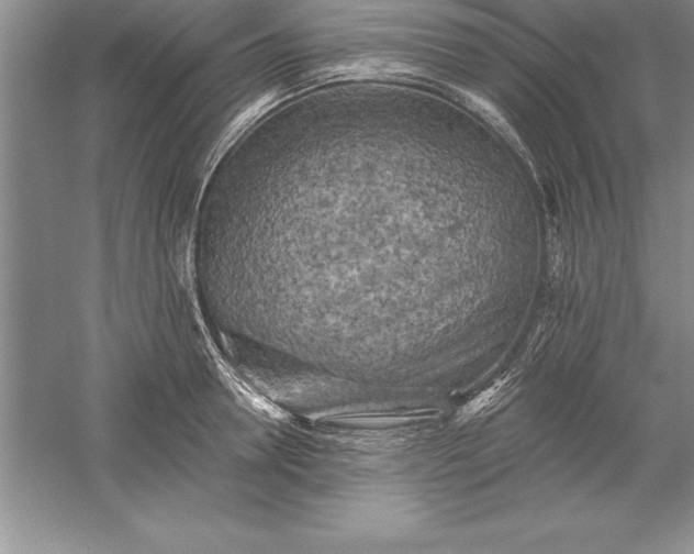 X0000055990946200509092016