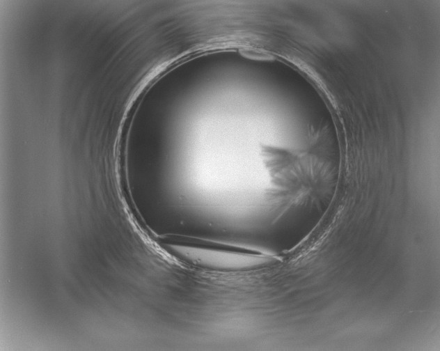 X0000055990949200509092016