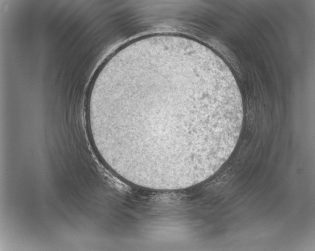 X0000055990950200509092016