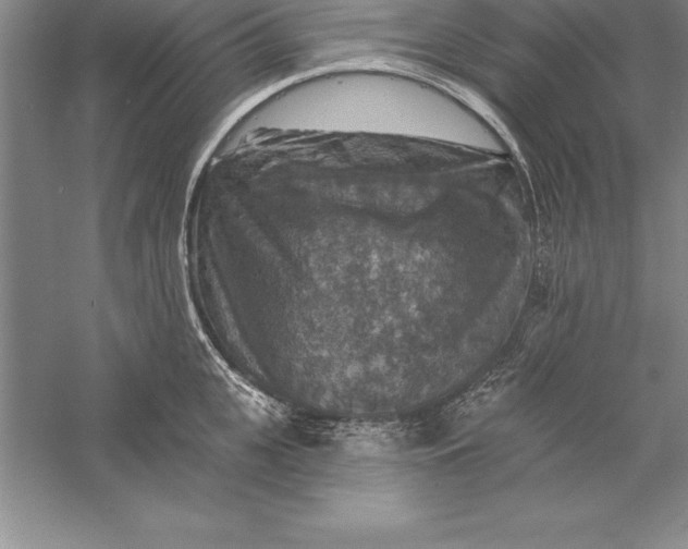 X0000055990951200509092016