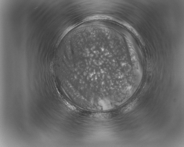 X0000055990953200509092016