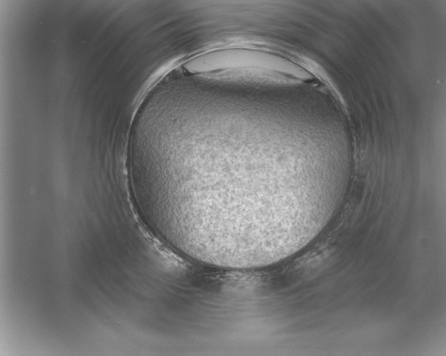 X0000055990954200509092016